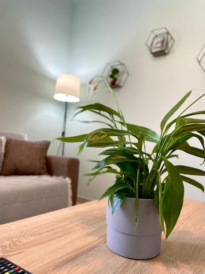The Breeze & Sunlight Apartment Врасна Екстериор снимка